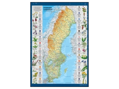 Klicka för större bild