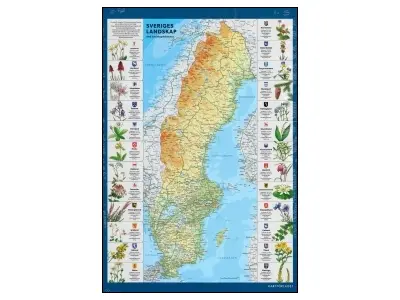 Klicka för större bild