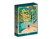 Pieces & Peace: Cenote Ik´il (1000)