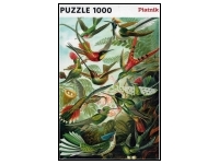 Piatnik: Hummingbirds (1000)