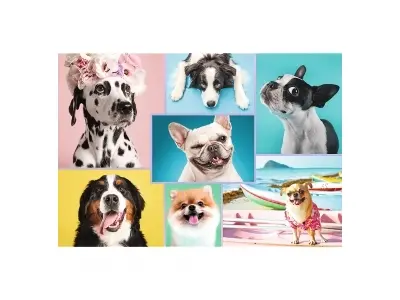 Klicka för större bild