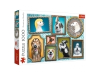 Trefl: Doggies Gallery (1000)