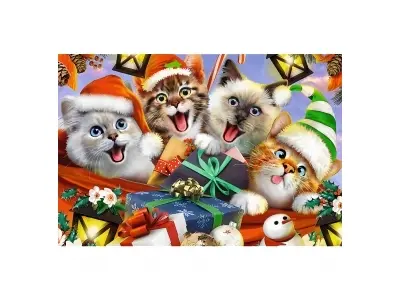 Klicka för större bild