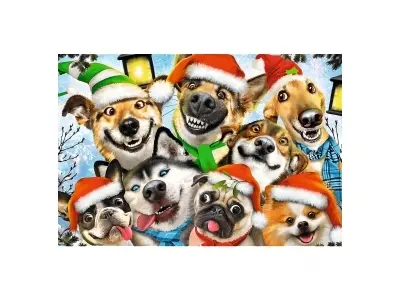 Klicka för större bild