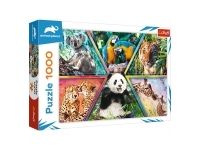 Trefl: Animal Kingdom (1000)