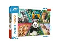 Trefl: Animal Kingdom (1000)