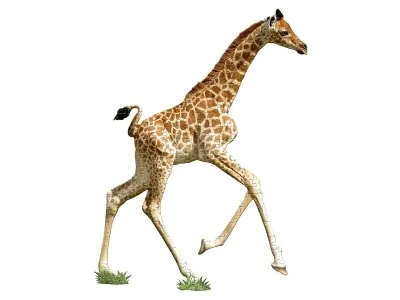 Klicka för större bild