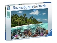 Ravensburger: A Dive in the Maldives (2000)