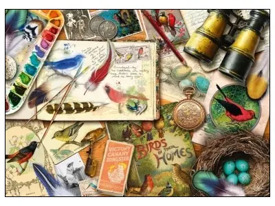 Klicka för större bild