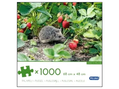 Klicka för större bild