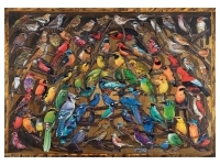Ravensburger: Rainbow of Birds (1000)
