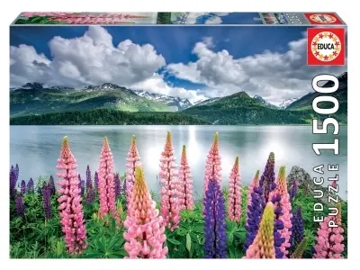 Klicka för större bild