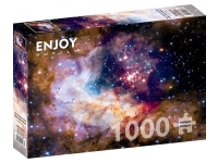 Enjoy: Star Cluster in the Milky Way Galaxy (1000)