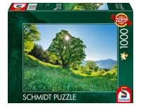 Schmidt: Sycamore Maple in the Sunlight - St. Gallen, Switzerland (1000)