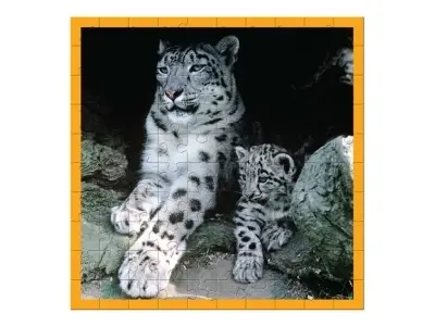 Klicka för större bild