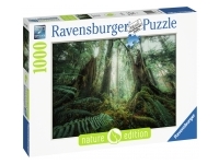 Ravensburger: Nature Edition - In the Forest (1000)