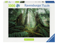 Ravensburger: Power of Nature - Stefan Hefele, In the Forest (1000)