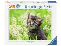 Ravensburger: Kitten in the Meadow (500)
