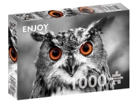 Enjoy: Curious Owl (1000)
