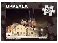 Svenskapussel: Uppsala - Vinternatt i Uppsala (1000)