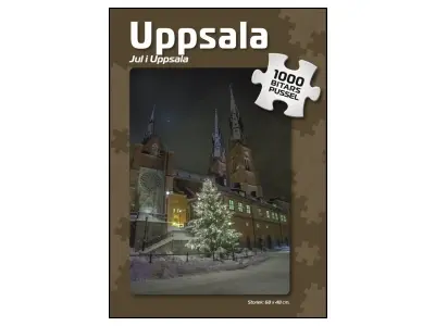 Klicka för större bild