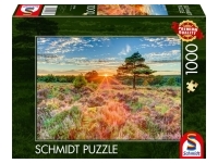 Schmidt: Assaf Frank - Sunset on the Heath (1000)