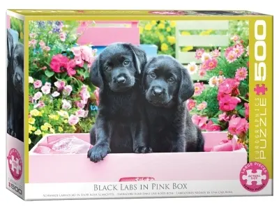 Klicka för större bild