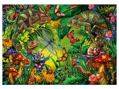 Klicka för större bild