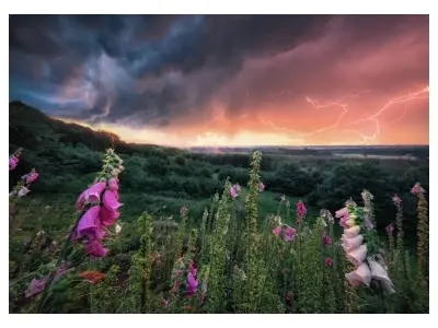 Klicka för större bild