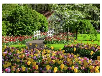 Klicka för större bild