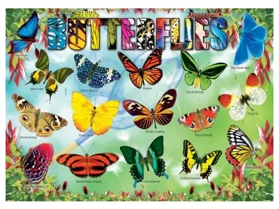 Klicka för större bild