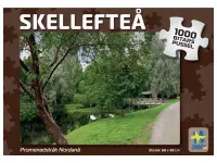 Svenskapussel: Skellefteå - Promenadstråk Nordanå (1000)