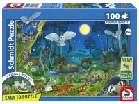 Schmidt: Animals in a Night-time Forest (100)