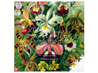 Good Loot: Imagination - Ernst Haeckel, Orchid (1000)
