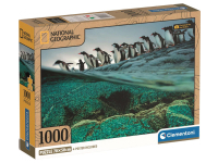 Clementoni: National Geographics - Gentoo Penguins (1000)
