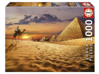 Educa: Camel in the Dessert (1000)