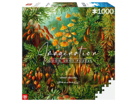 Good Loot: Imagination - Ernst Haeckel, Mucinae (1000)