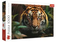 Trefl: Wild Tiger (1000)