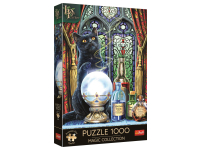Trefl: Lisa Parker - The Witch's Apprentice (1000)