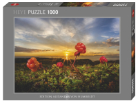 Heye: Humboldt - Cloudberries (1000)