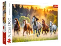 Trefl: Wild Horses (1500)