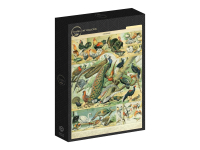 Grafika: Larousse - Birds I (1000)
