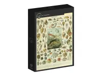 Grafika: Larousse - Molluscs I (1000)