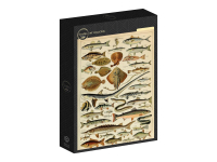Grafika: Larousse - Fish (1000)