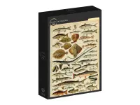 Grafika: Larousse - Fish (1000)