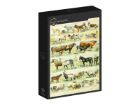 Grafika: Larousse - Mammals I (1000)