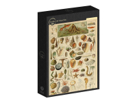 Grafika: Larousse - Molluscs II (1000)