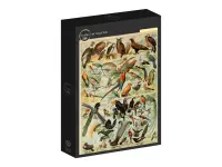 Grafika: Larousse - Birds II (1000)