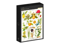 Grafika: Larousse - Astringent and Aperitive Plants (1000)