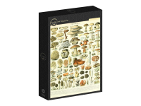 Grafika: Larousse - Mushrooms (1000)